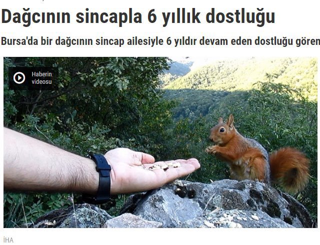 tüm türkiye'de...