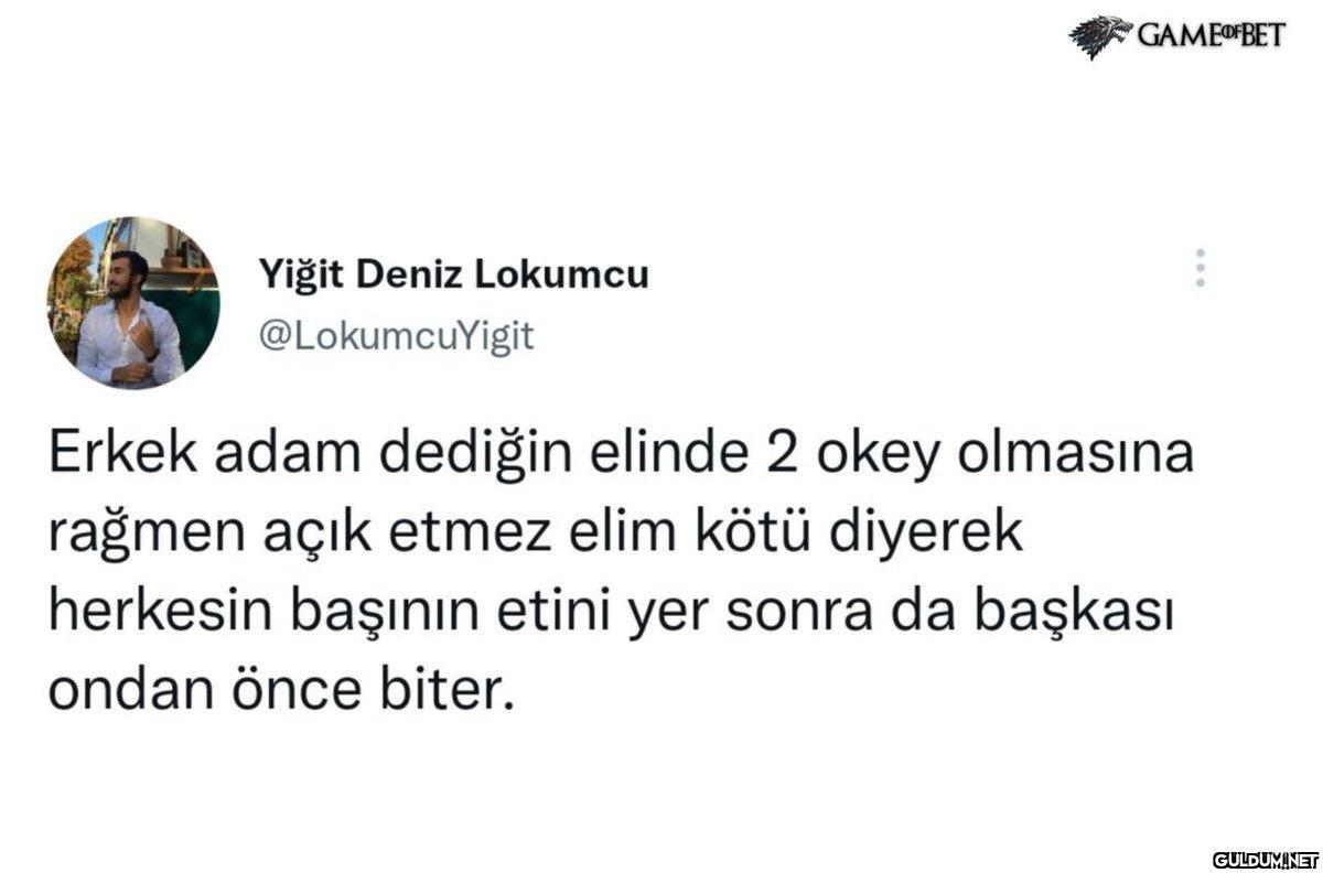Yiğit Deniz Lokumcu...