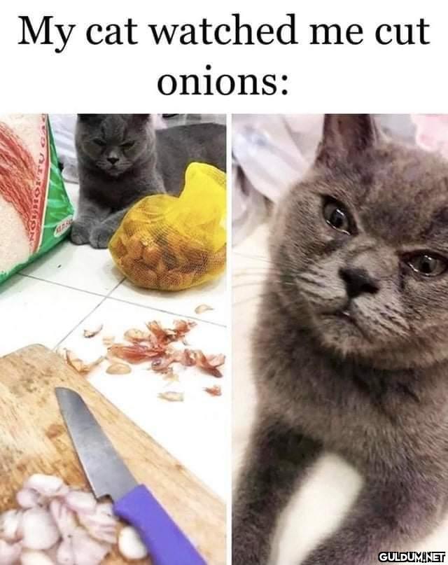 Popular post