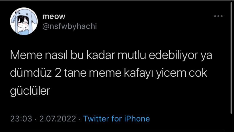 meow @nsfwbyhachi Meme...
