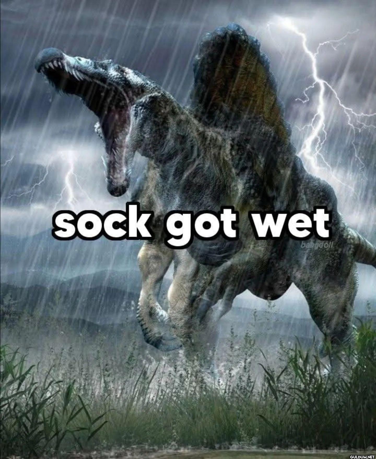 sock got wet
