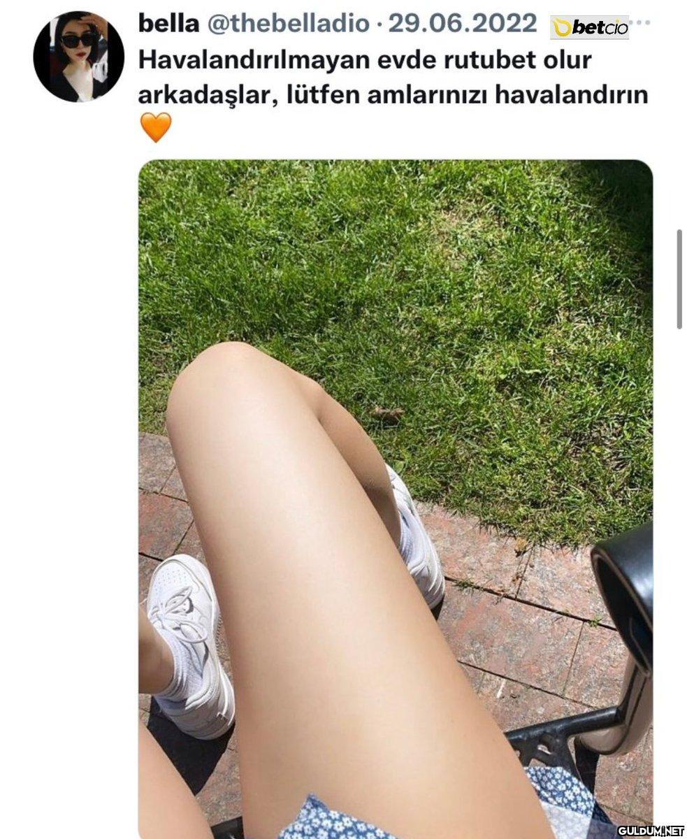 229...