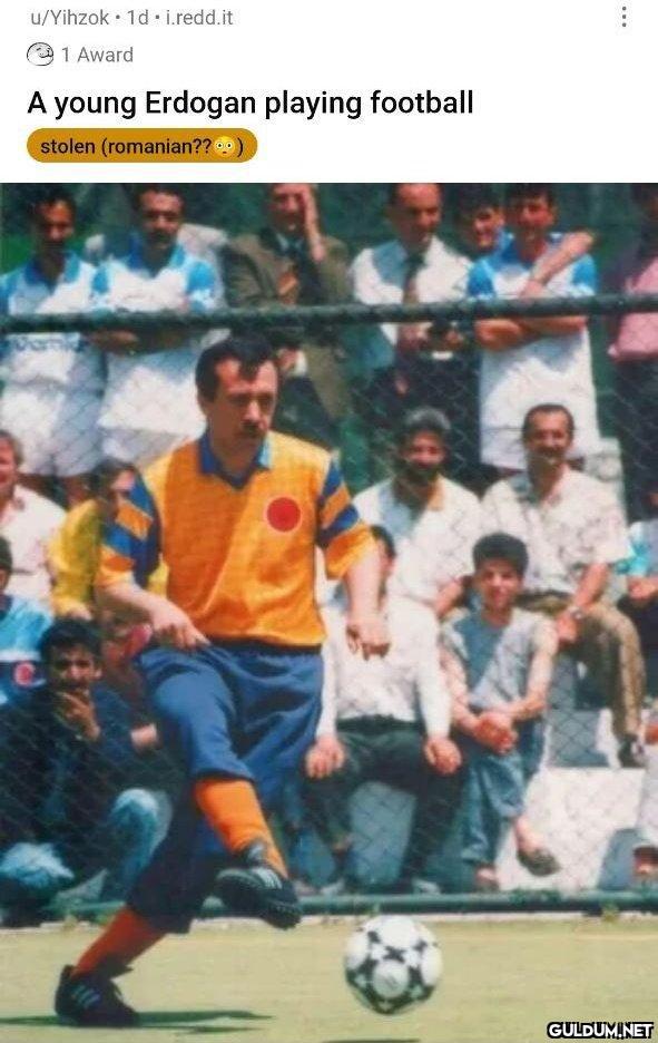 Turuncu aşığı reis...