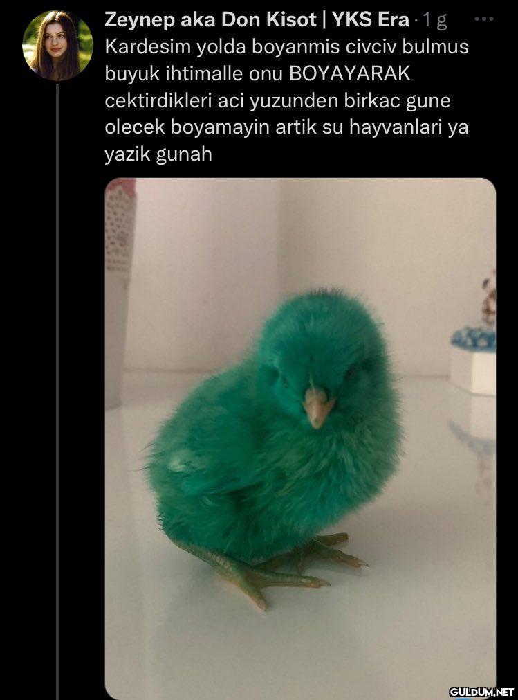 sürpriz sonlu asfjsljs...