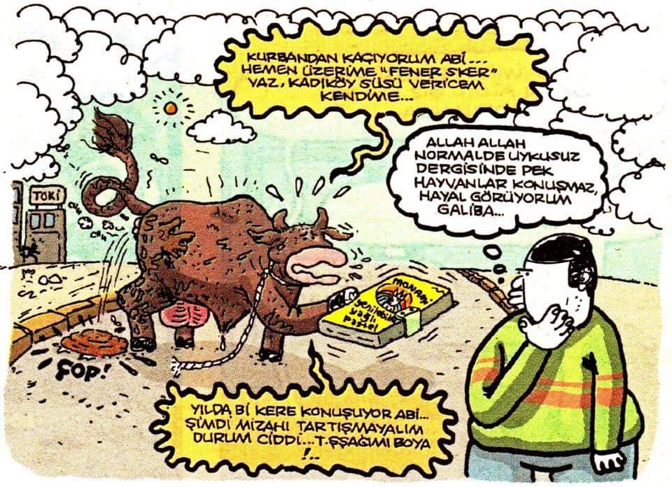 YAV ANNE BUNLAR ŞEHİRDE...