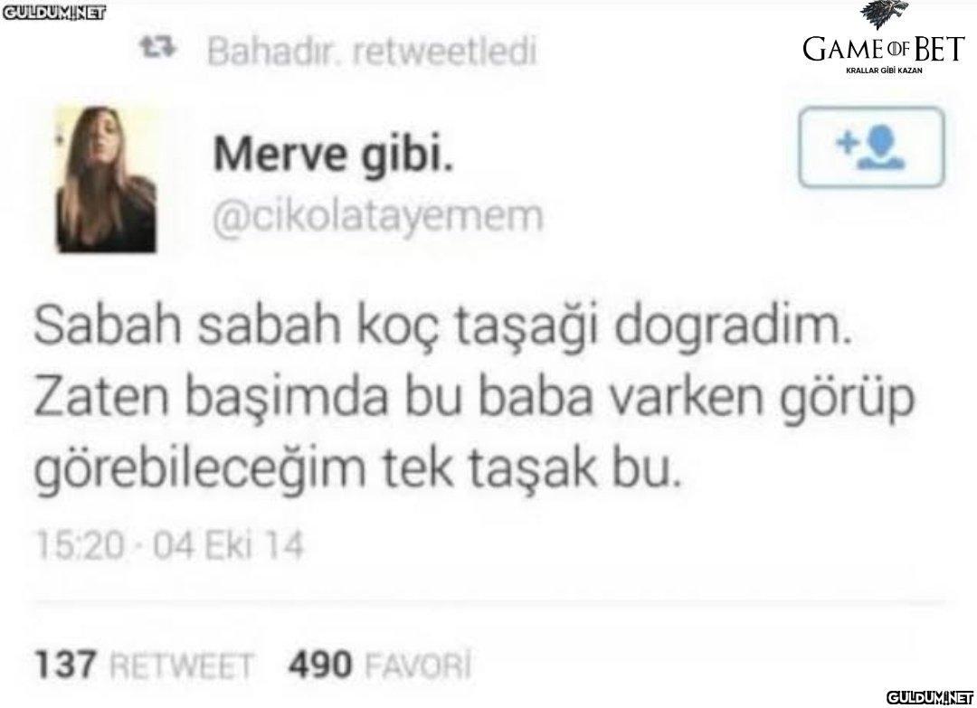 https://t.co/GvwVjWMgaf   ...