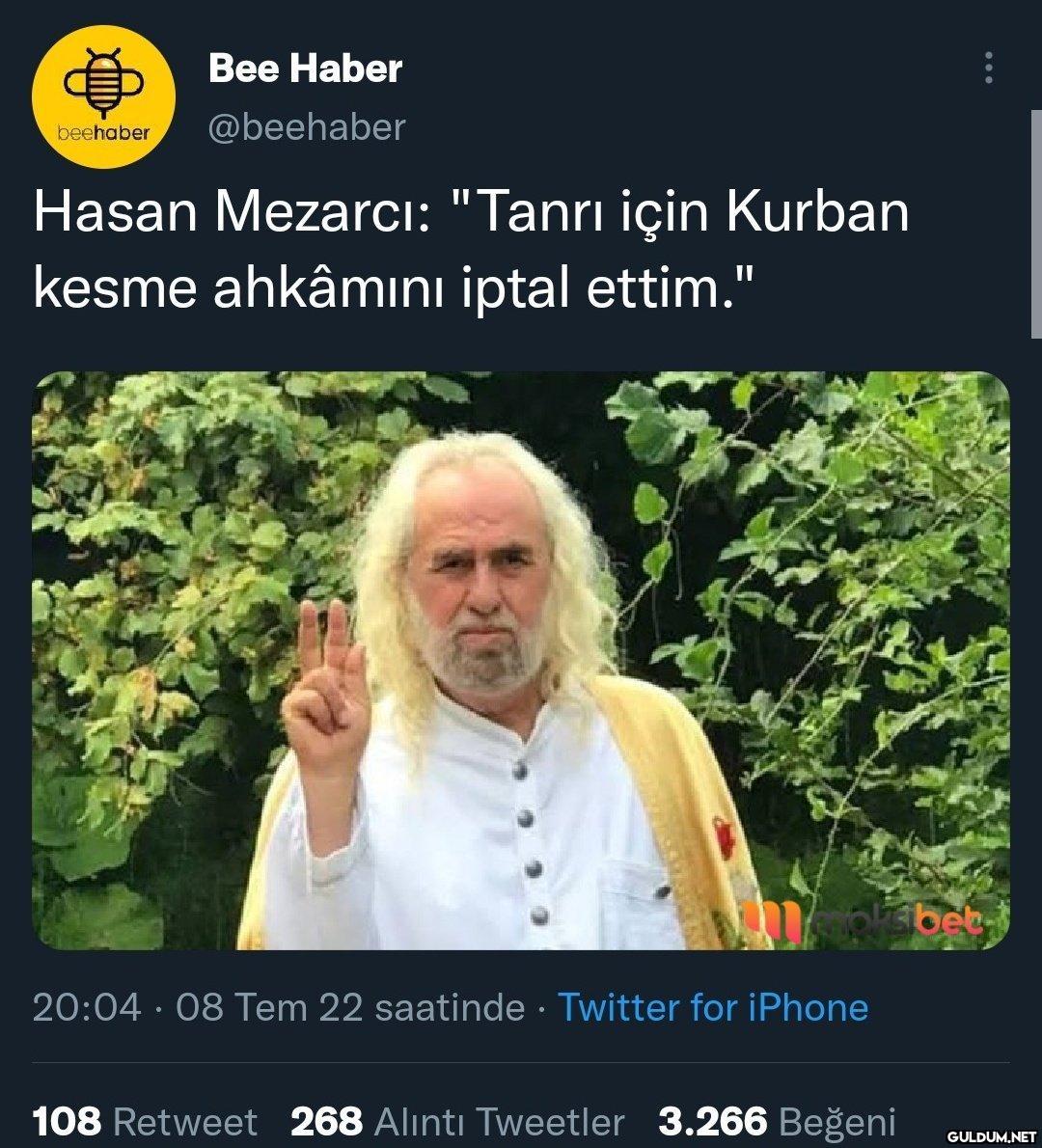 Bee Haber beehaber...