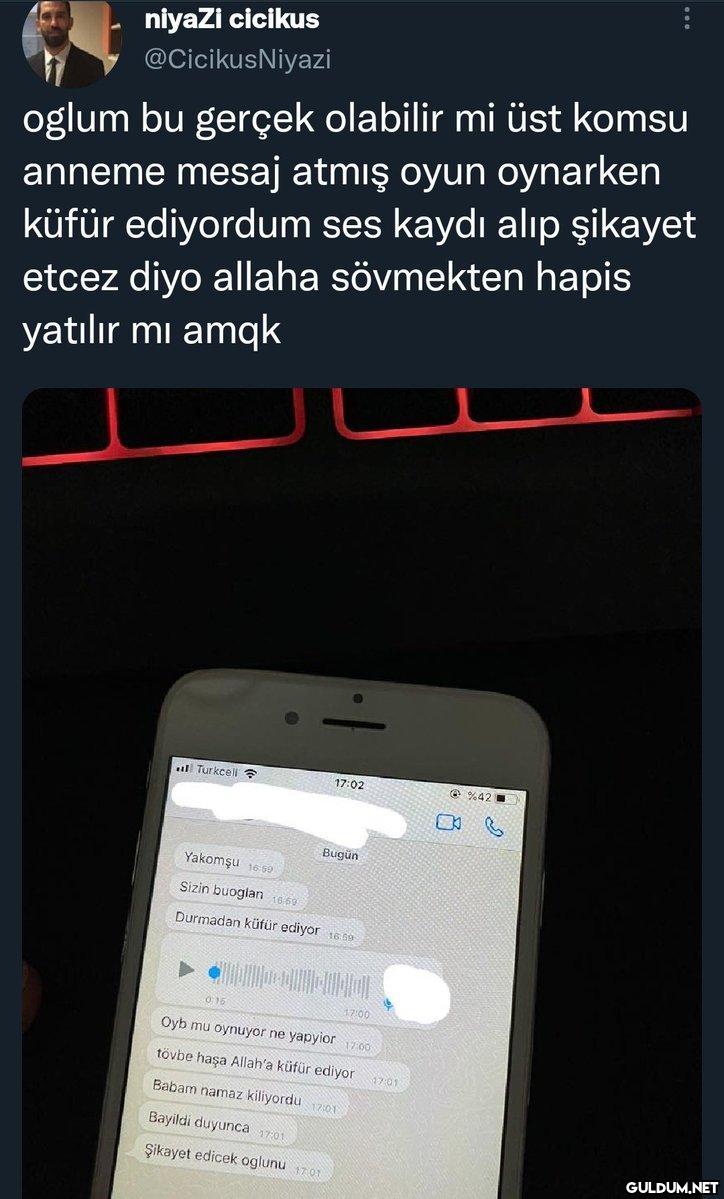 niyaZi cicikus...