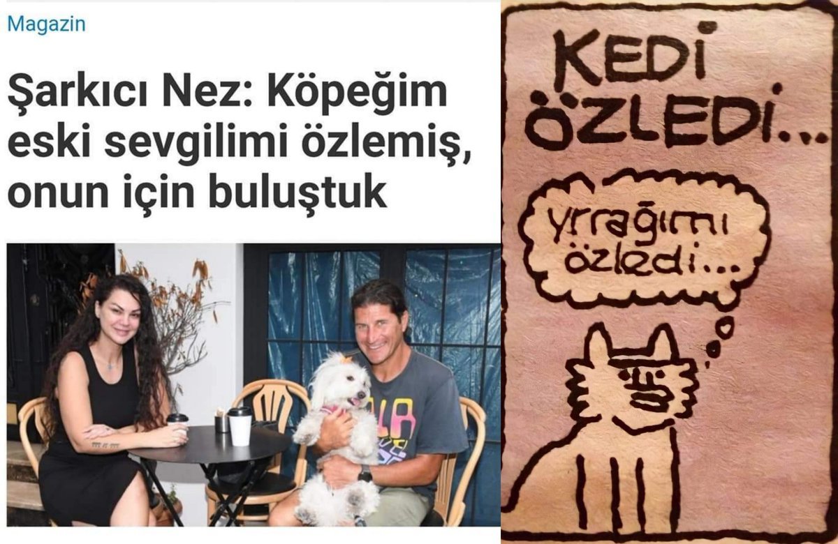 Kedi özledi.....