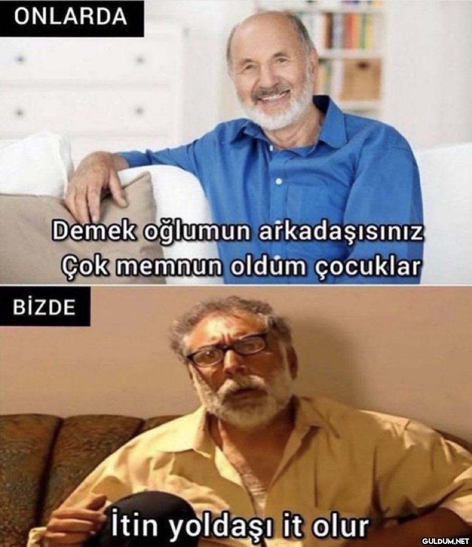 https://t.co/QLZqE0aj1c  ...