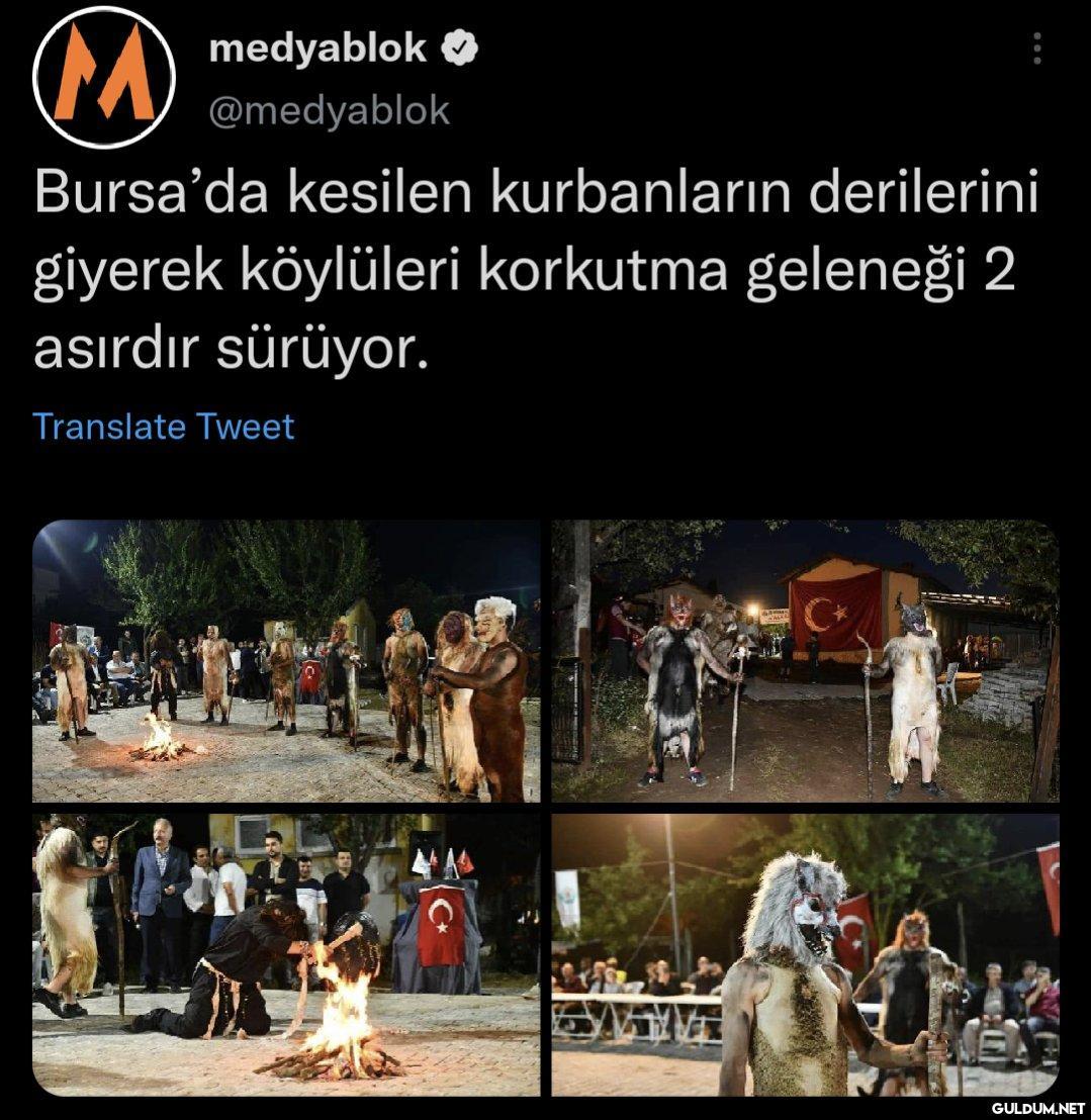 American horror story 9....