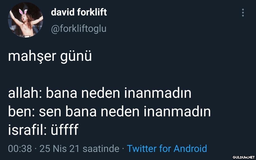 david forklift...