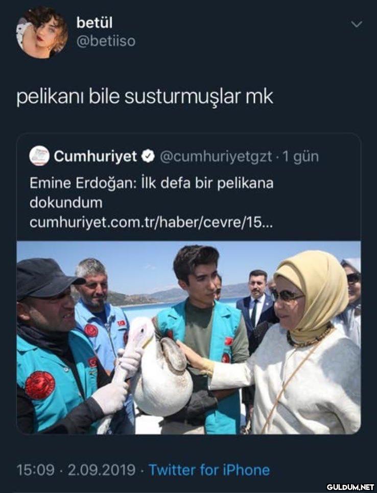 https://t.co/inq8058cid ...