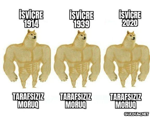 https://t.co/HV1DahotHF ...