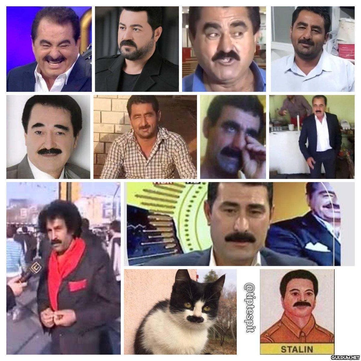 Tatlıses Collection ...
