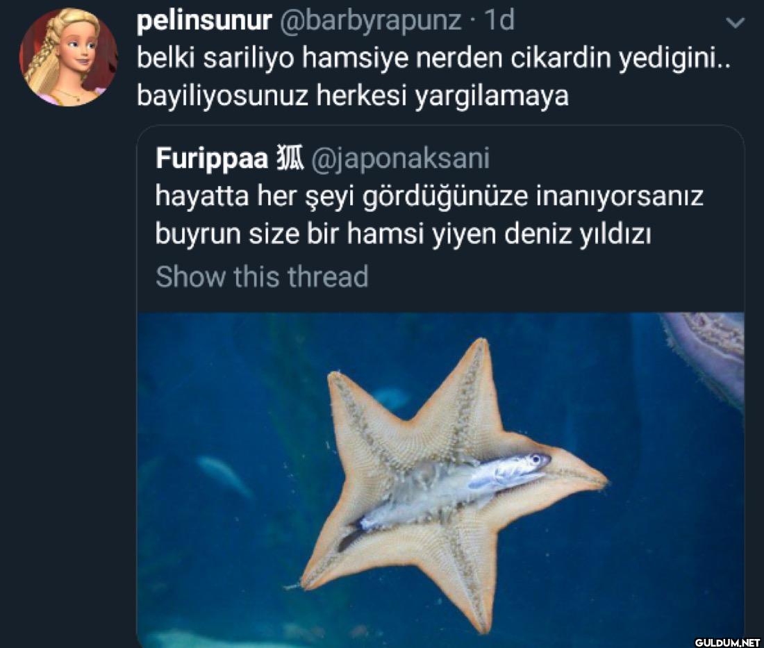 1d belki sariliyo hamsiye...