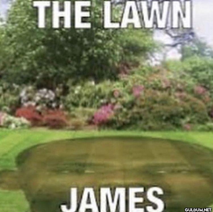 THE LAWN JAMES