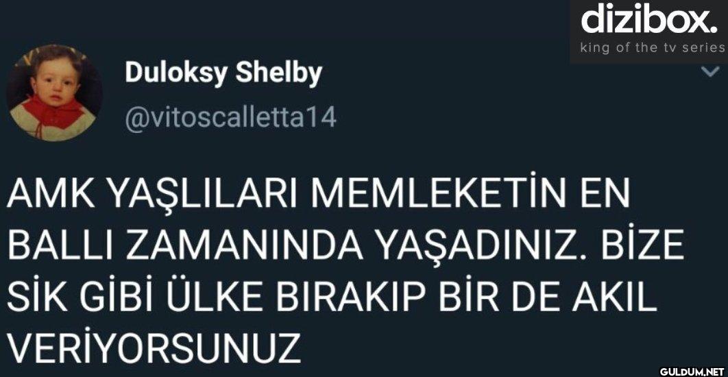 dizibox. king of the tv...
