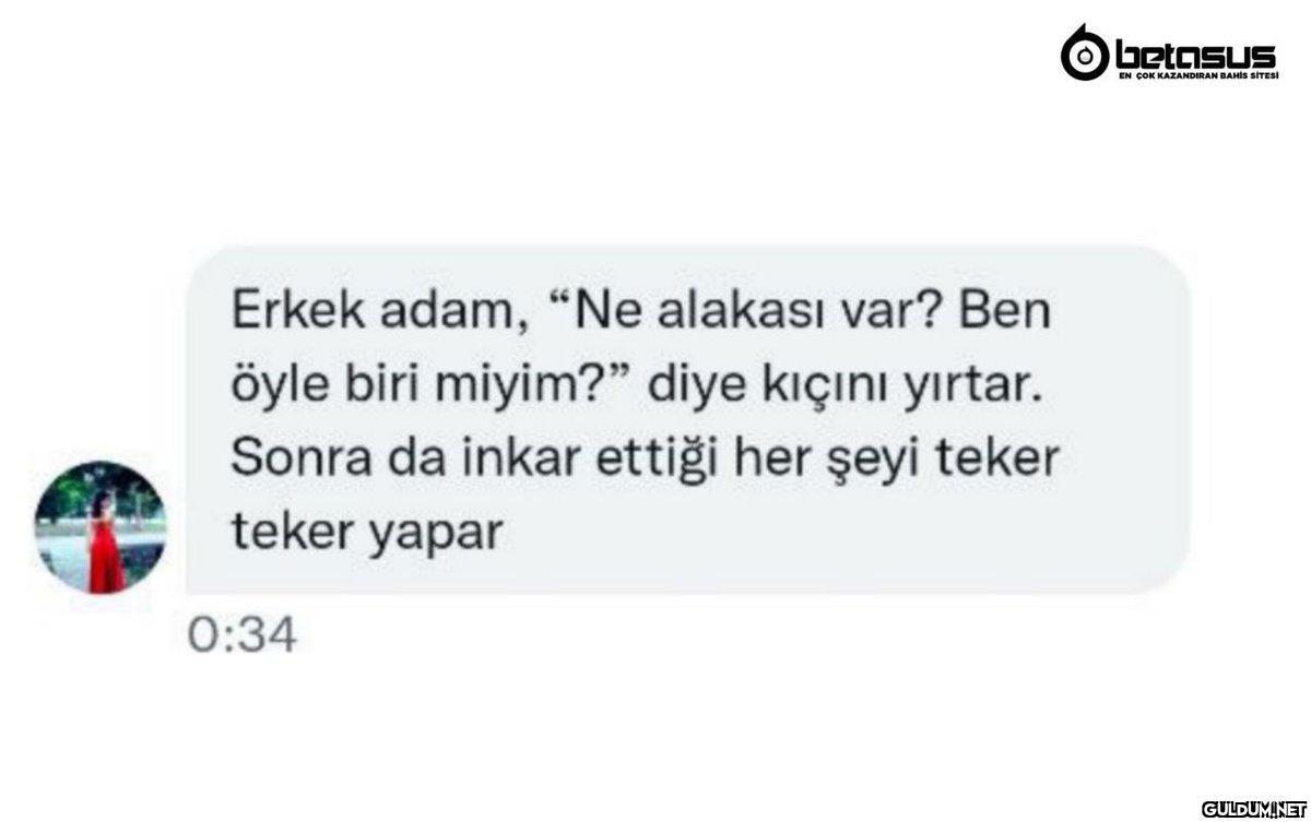 Erkek adam, "Ne alakası...