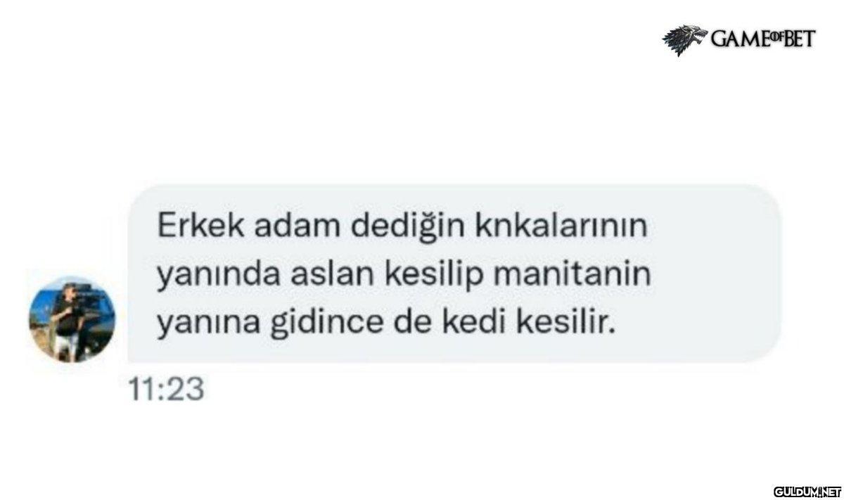 Erkek adam dediğin...