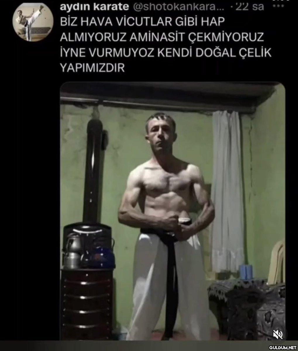 Budget Zagreus...