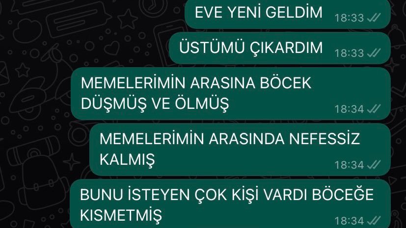 çoğu erkeğin hayalini...