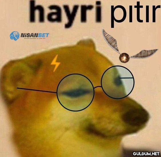 https://t.co/qJ6E6vPJAN  ...