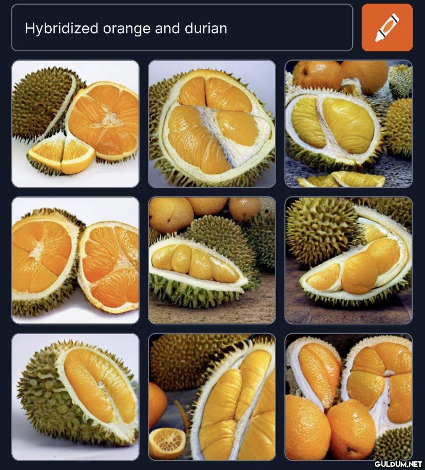 Hybridized orange and...