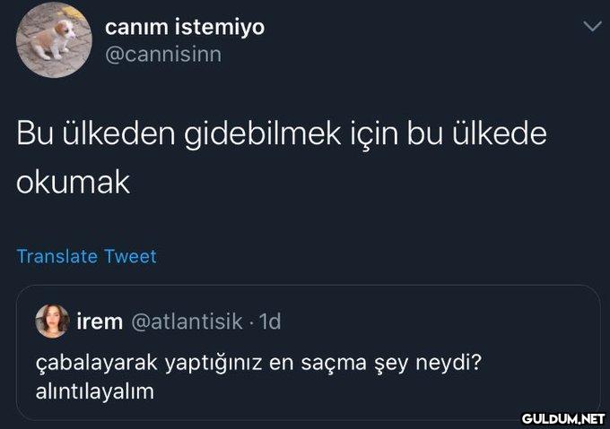 canım istemiyo @cannisinn...