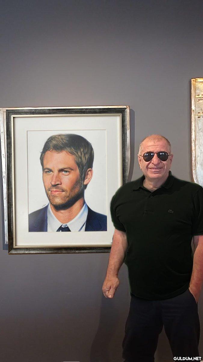 paul walker and vin...