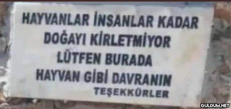 https://t.co/ASRq5IL6EU  ...