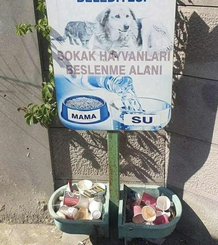Eğitim ve kültür...