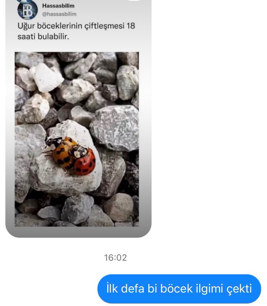 Hassasbilim B @hassasbilim...