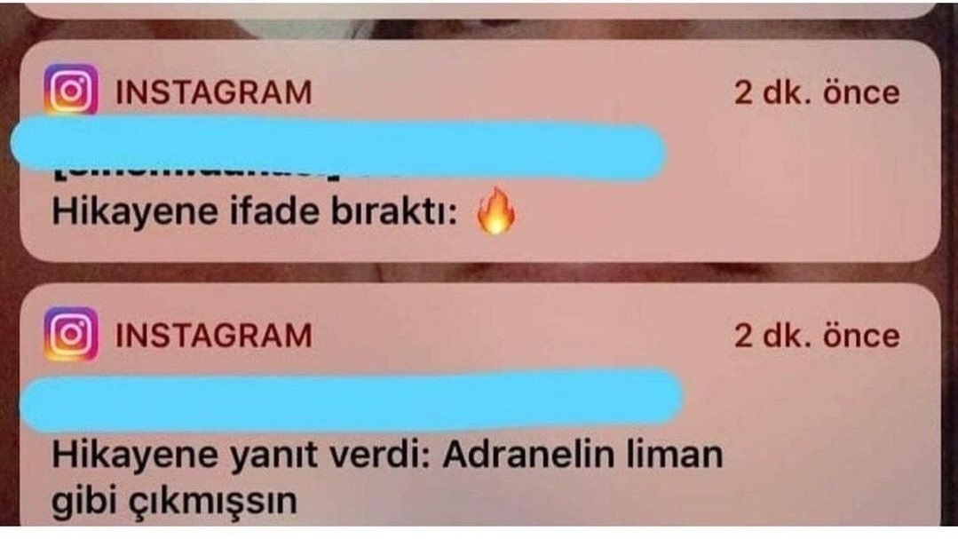 adranelin limanı...