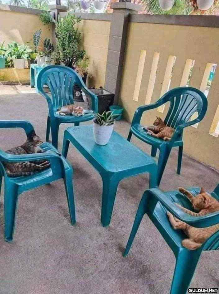Sıcaktan arkadaşlarımla şu...