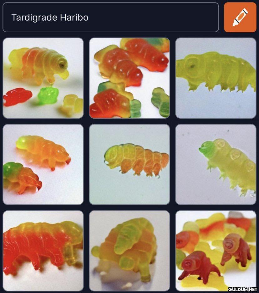 Tardigrade Haribo 9   Kaynak
