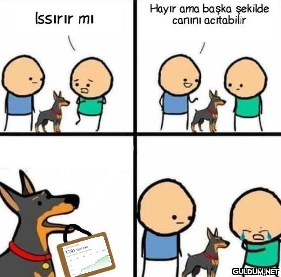 Issırır mı 17,91 Hayır ama...
