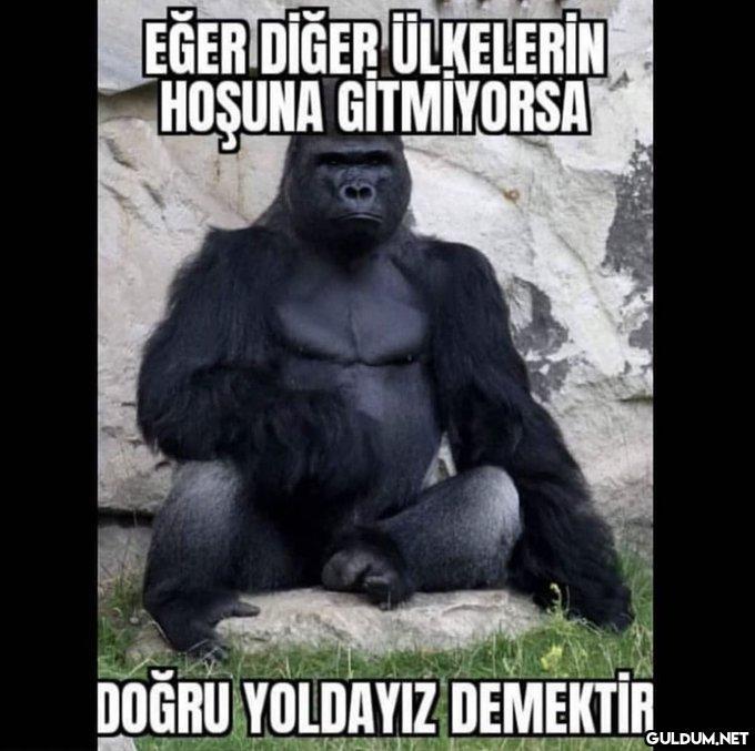 EĞER DİĞER ÜLKELERİN...