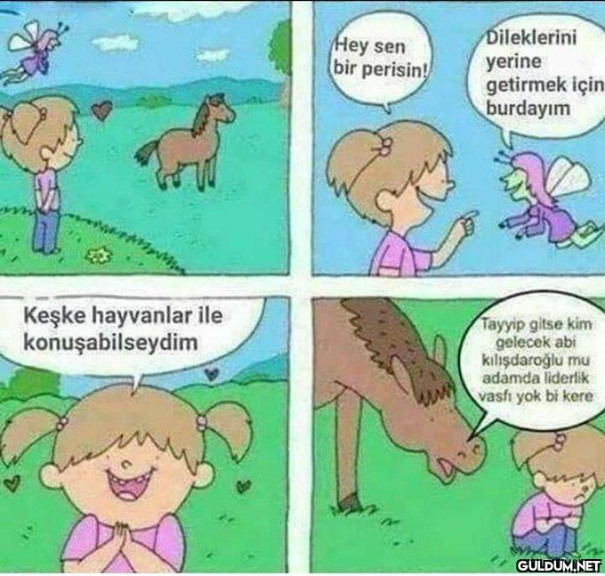 Keşke hayvanlar ile...