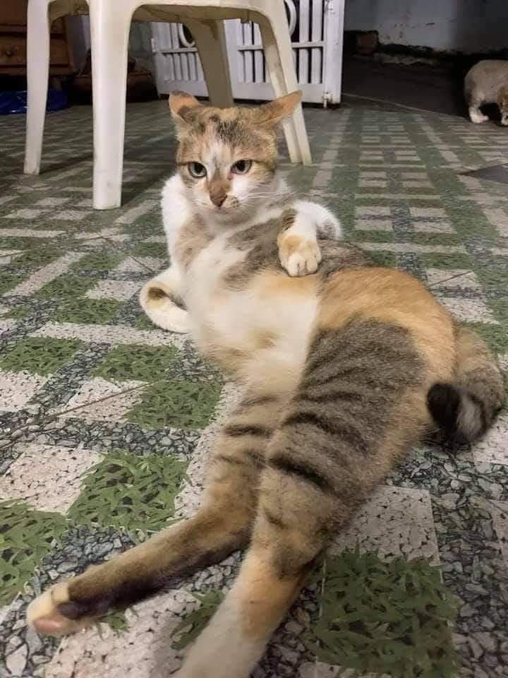 Bugünün rahatlık seviyesi...