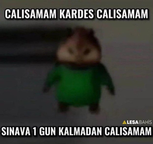 akademik hayatımın özeti...