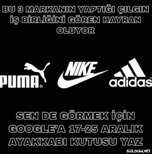 BU 3 MARKANIN YAPTIĞI...
