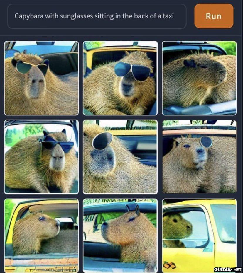 Capybara with sunglasses...