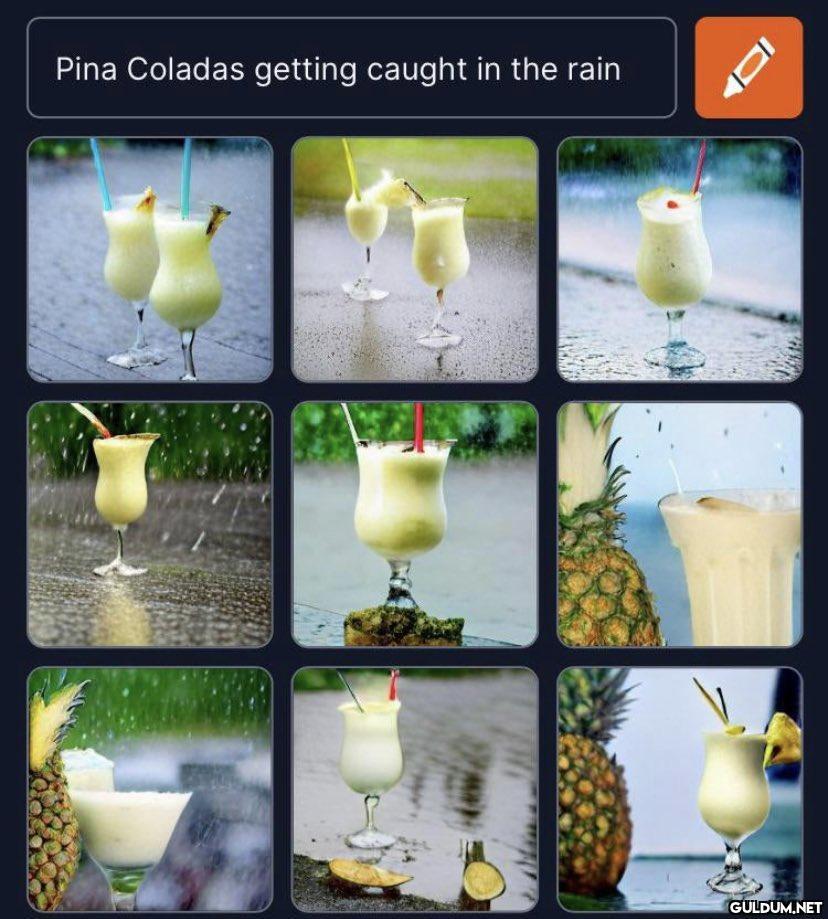 Pina Coladas getting...