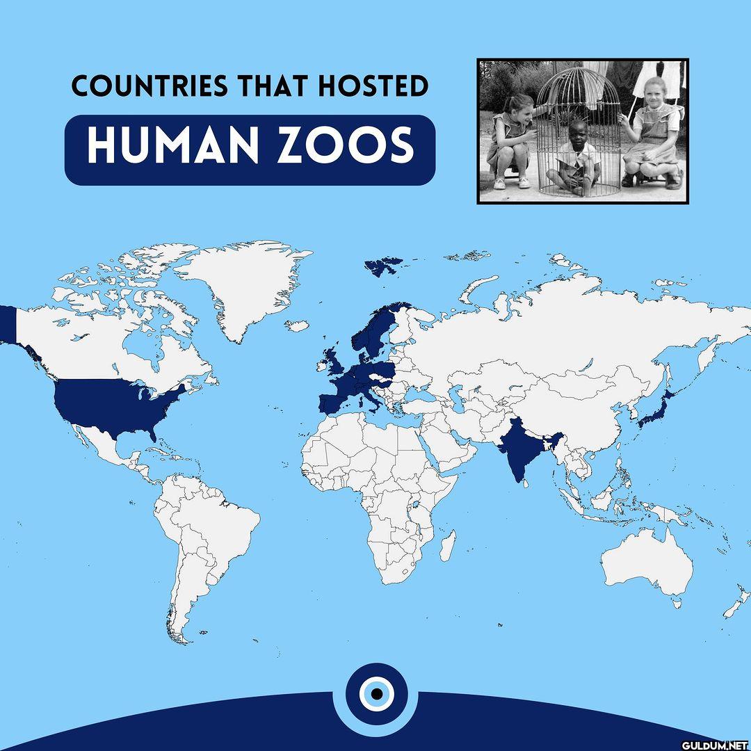 Human zoos were public...