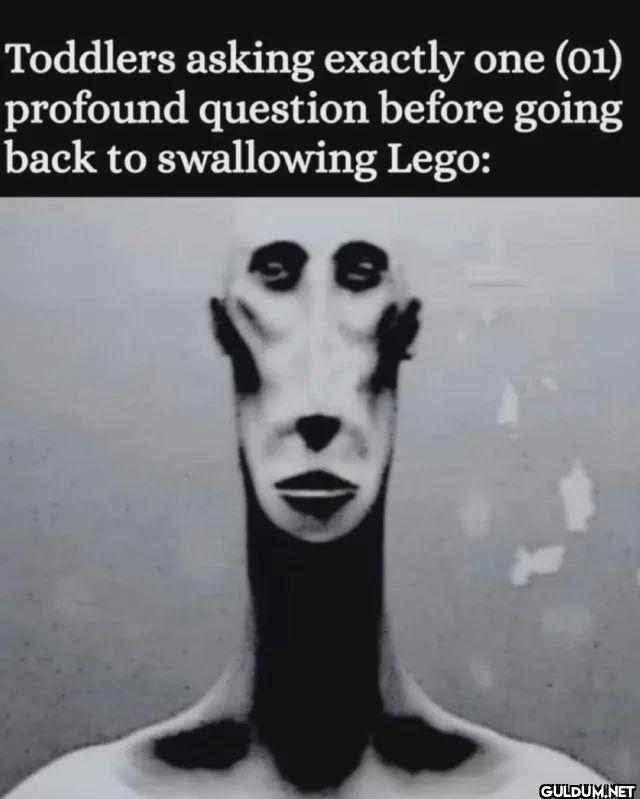 Toddlers asking exactly...