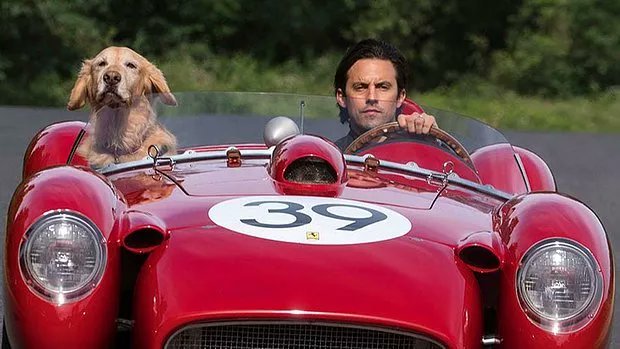 The Art of Racing in the...