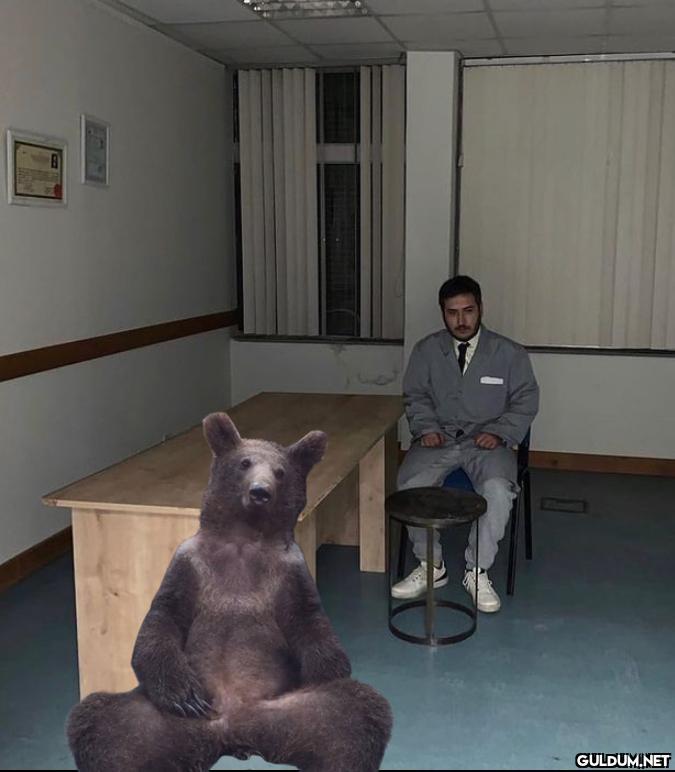 Kaynak