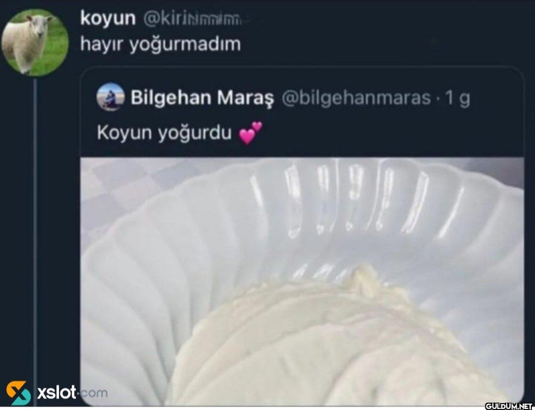 hayır yoğurmadım Bilgehan...