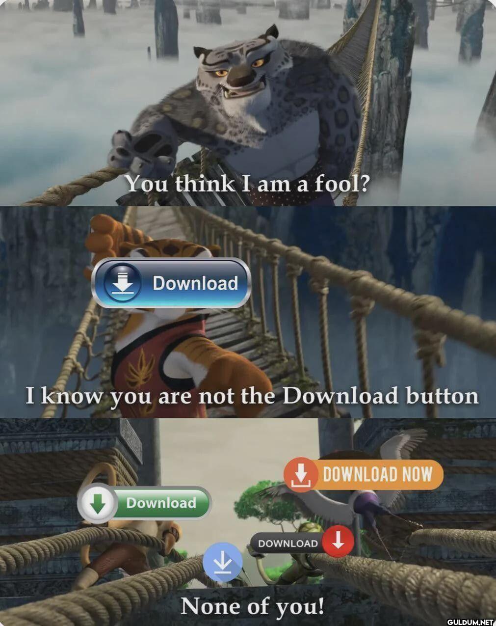 You think I am a fool?...